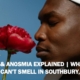 Hyposmia & Anosmia Smell Blog Post Rectangle