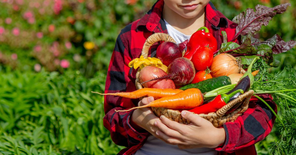 How to Eat for Better ENT Health Blog Post blank rectangle